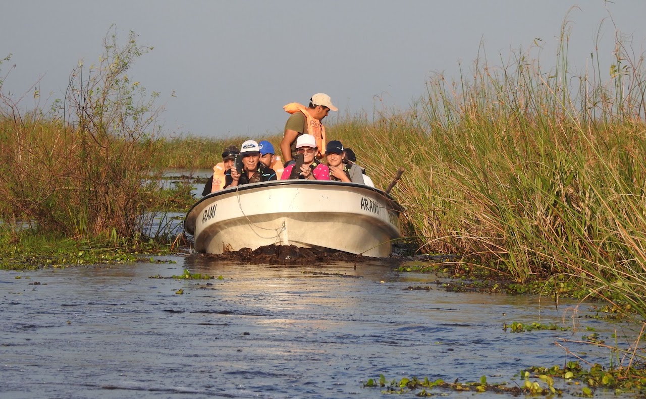 Paseo en lancha por los esteros de Loreto